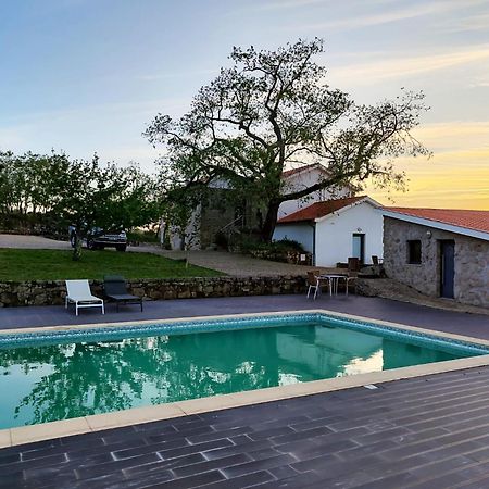 Quinta Dos Carvalhais - Serra Da Estrela Fornos de Algodres Εξωτερικό φωτογραφία