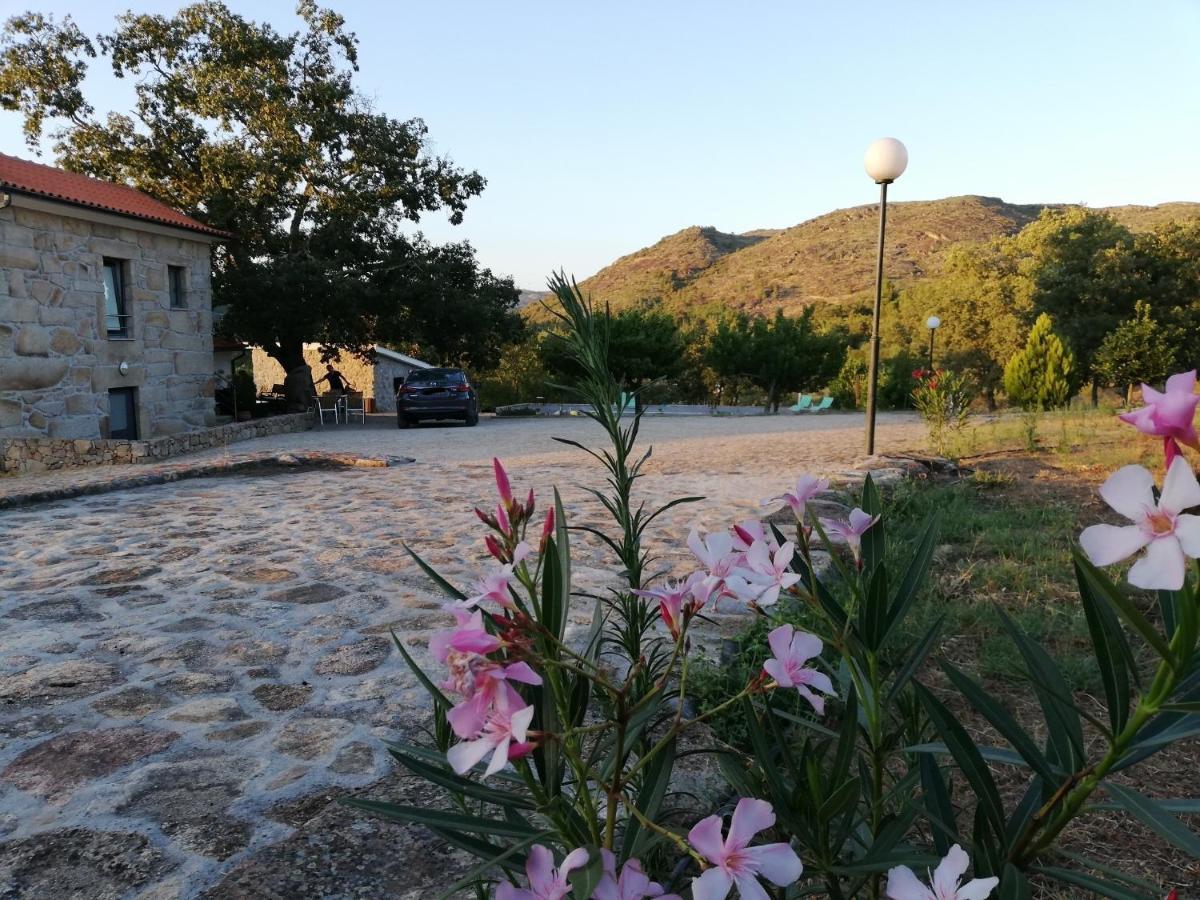 Quinta Dos Carvalhais - Serra Da Estrela Fornos de Algodres Εξωτερικό φωτογραφία
