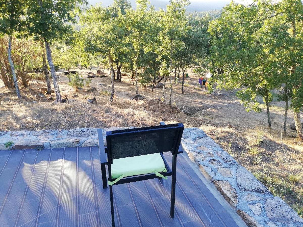 Quinta Dos Carvalhais - Serra Da Estrela Fornos de Algodres Εξωτερικό φωτογραφία