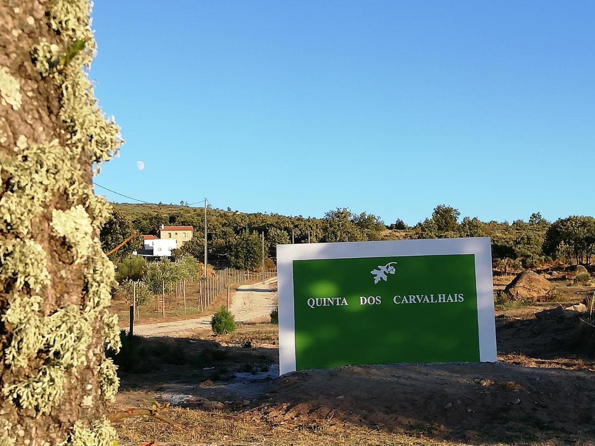 Quinta Dos Carvalhais - Serra Da Estrela Fornos de Algodres Εξωτερικό φωτογραφία