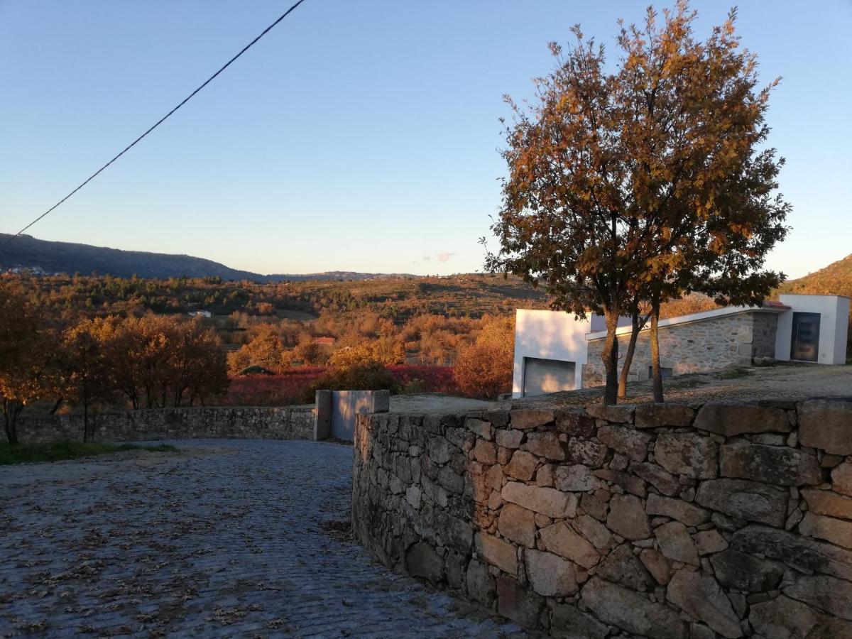 Quinta Dos Carvalhais - Serra Da Estrela Fornos de Algodres Εξωτερικό φωτογραφία