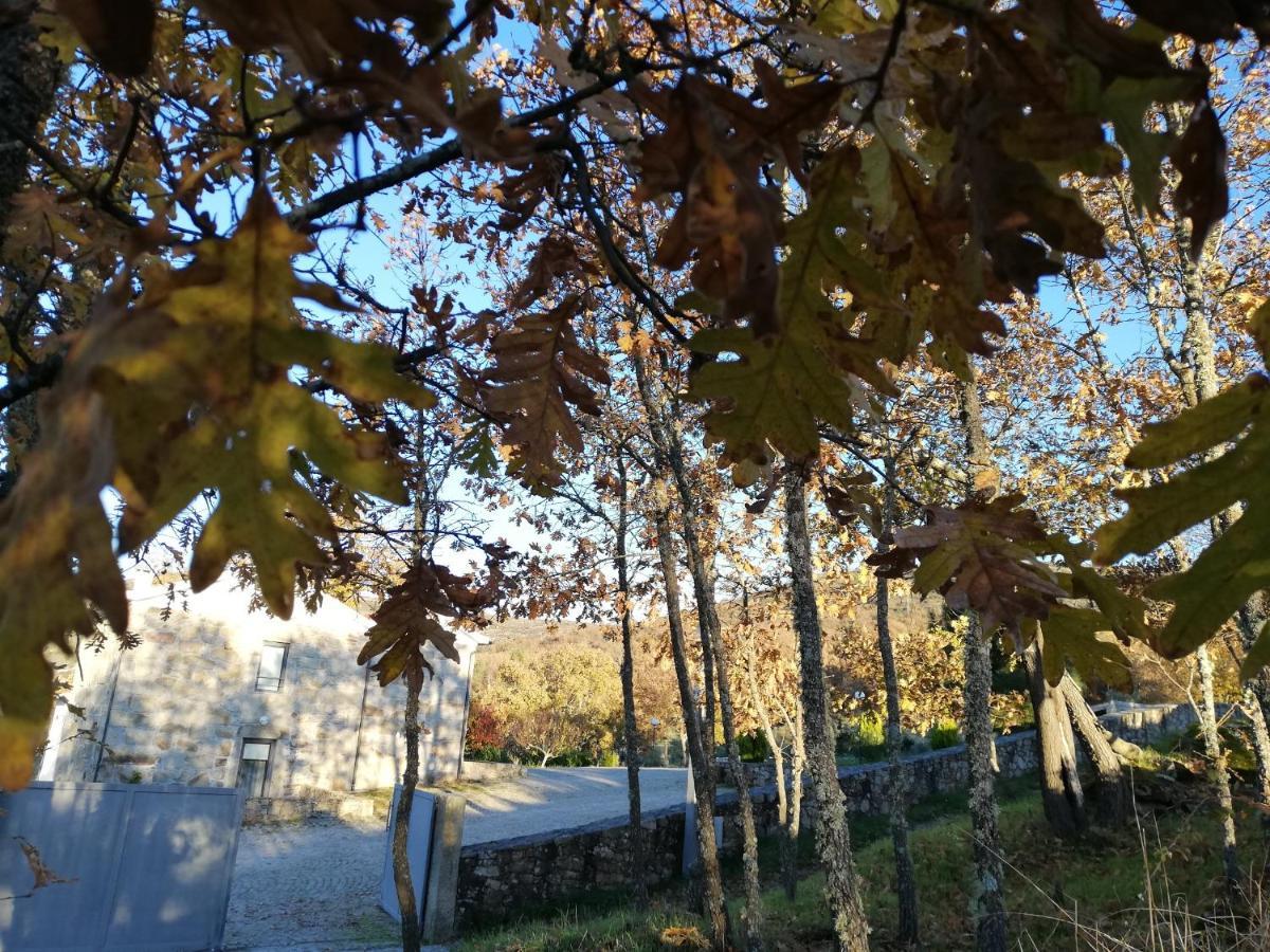 Quinta Dos Carvalhais - Serra Da Estrela Fornos de Algodres Εξωτερικό φωτογραφία