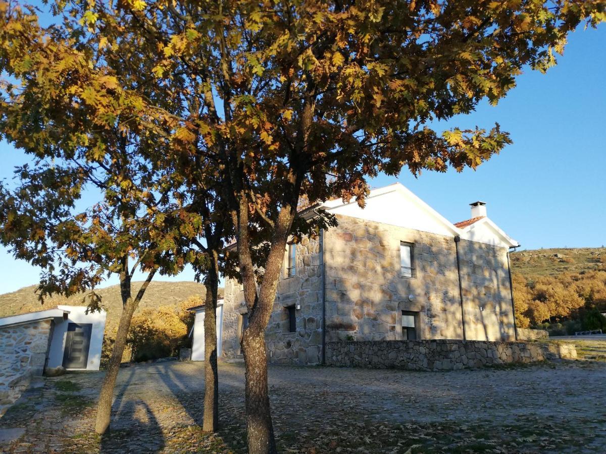 Quinta Dos Carvalhais - Serra Da Estrela Fornos de Algodres Εξωτερικό φωτογραφία