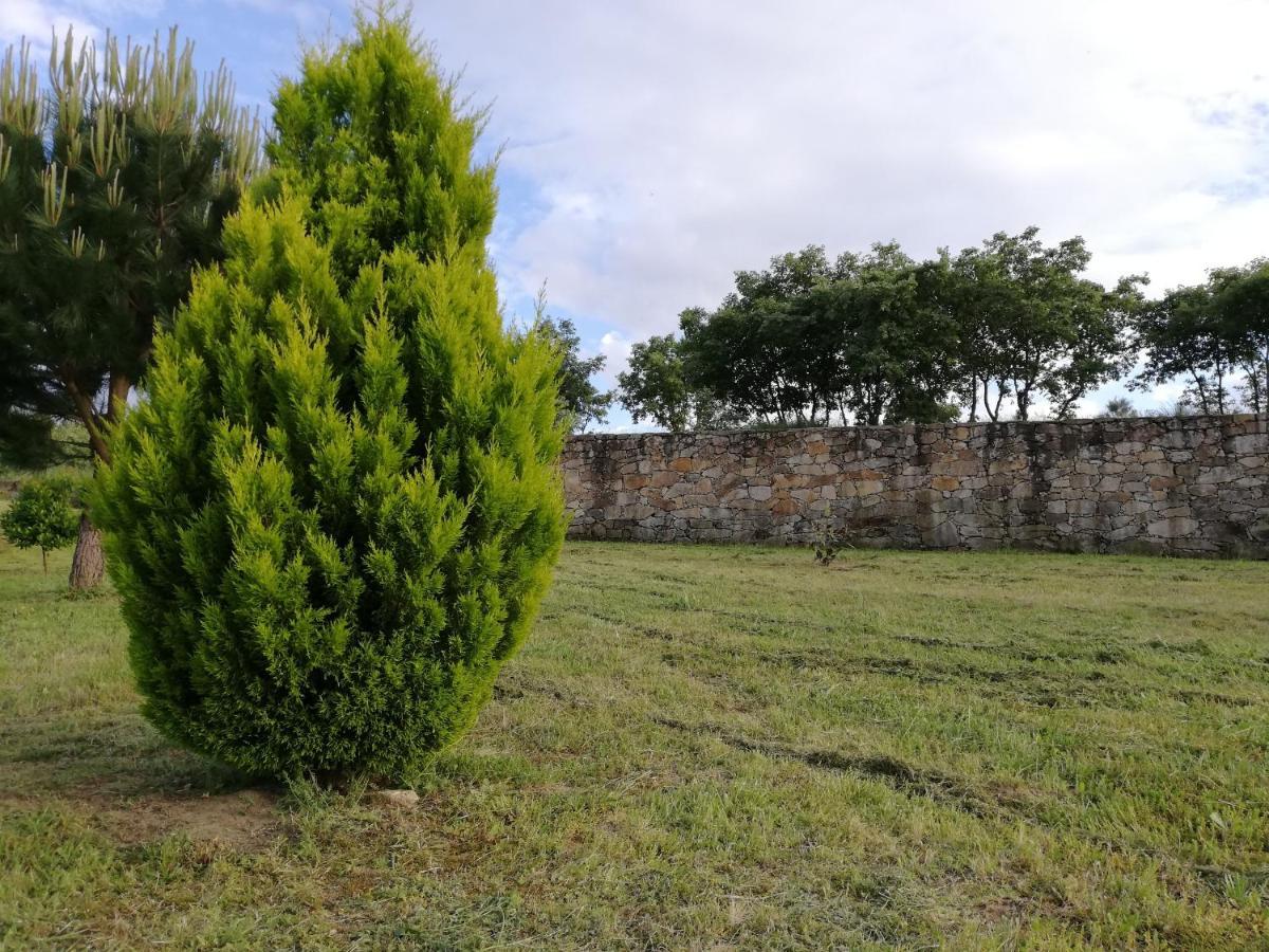 Quinta Dos Carvalhais - Serra Da Estrela Fornos de Algodres Εξωτερικό φωτογραφία
