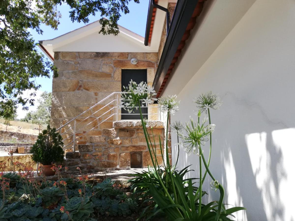 Quinta Dos Carvalhais - Serra Da Estrela Fornos de Algodres Εξωτερικό φωτογραφία