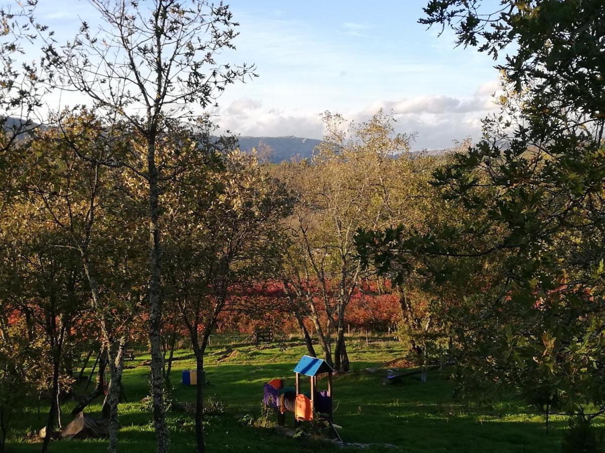 Quinta Dos Carvalhais - Serra Da Estrela Fornos de Algodres Εξωτερικό φωτογραφία