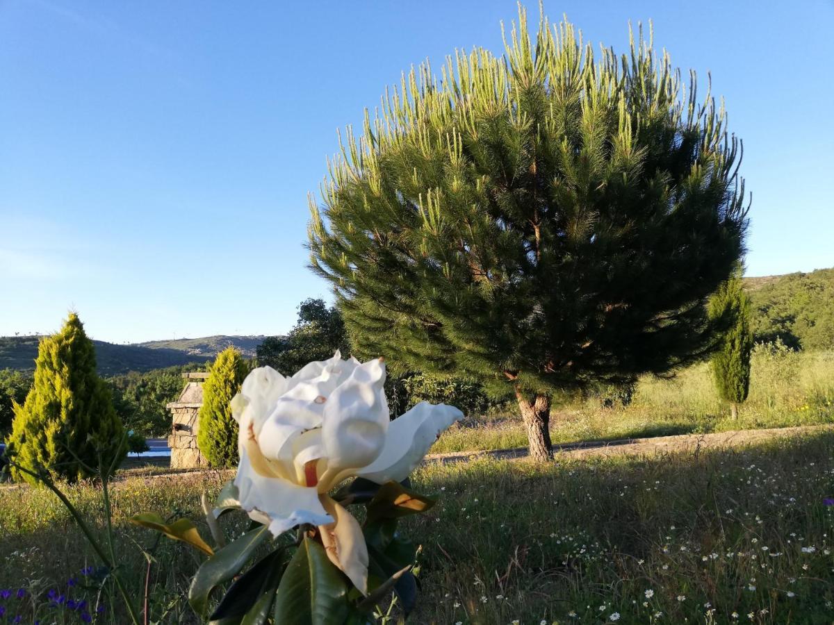Quinta Dos Carvalhais - Serra Da Estrela Fornos de Algodres Εξωτερικό φωτογραφία