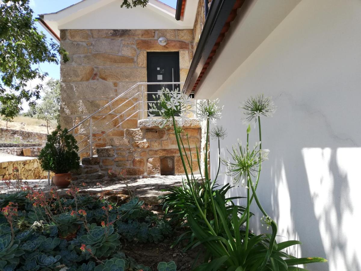 Quinta Dos Carvalhais - Serra Da Estrela Fornos de Algodres Εξωτερικό φωτογραφία