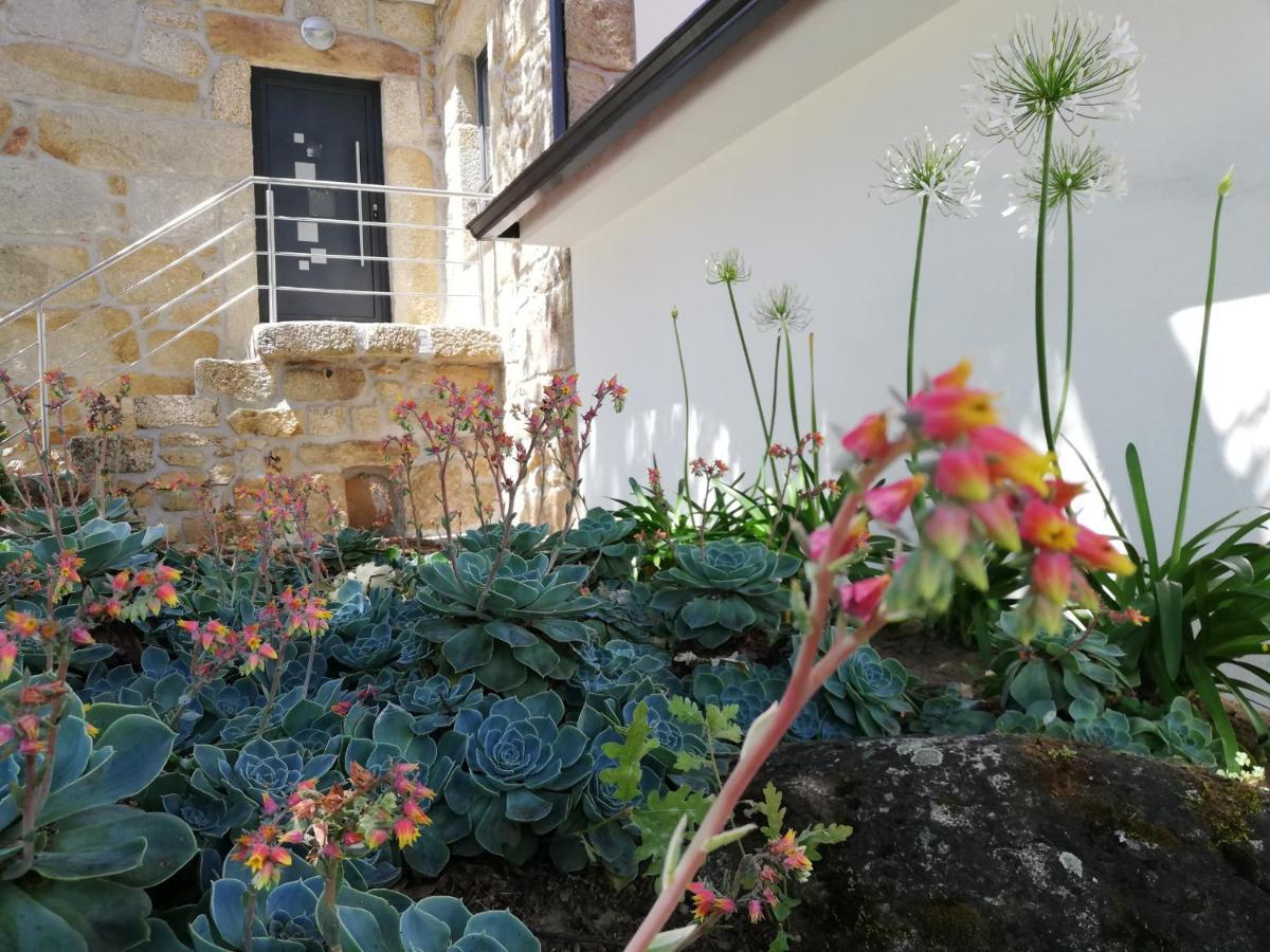 Quinta Dos Carvalhais - Serra Da Estrela Fornos de Algodres Εξωτερικό φωτογραφία