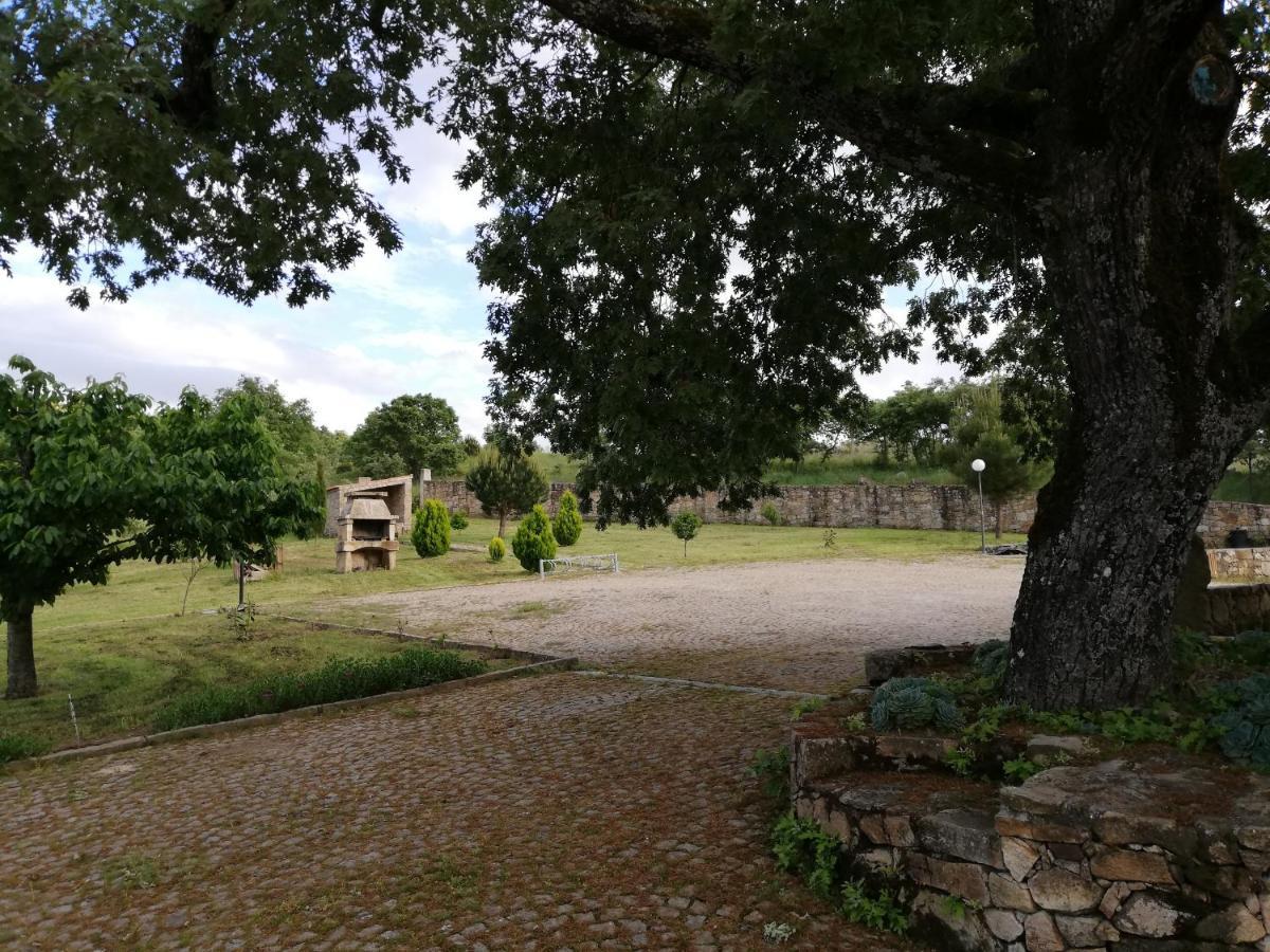 Quinta Dos Carvalhais - Serra Da Estrela Fornos de Algodres Εξωτερικό φωτογραφία