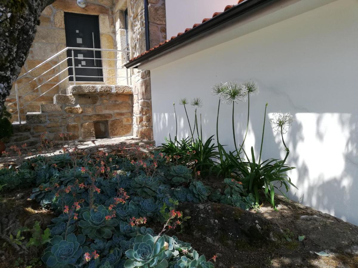 Quinta Dos Carvalhais - Serra Da Estrela Fornos de Algodres Εξωτερικό φωτογραφία