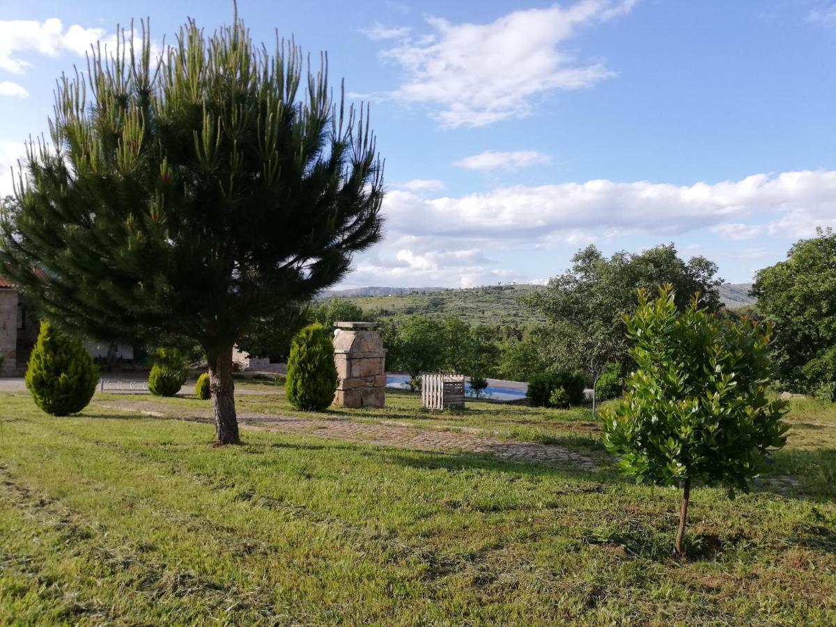 Quinta Dos Carvalhais - Serra Da Estrela Fornos de Algodres Εξωτερικό φωτογραφία
