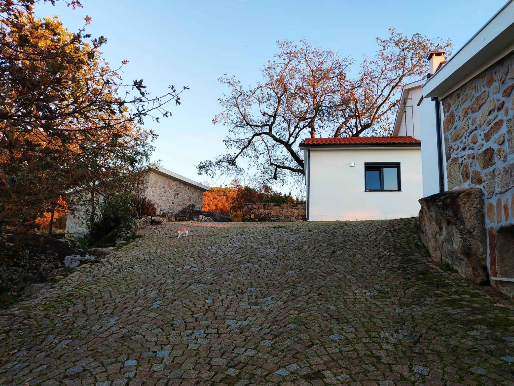 Quinta Dos Carvalhais - Serra Da Estrela Fornos de Algodres Εξωτερικό φωτογραφία