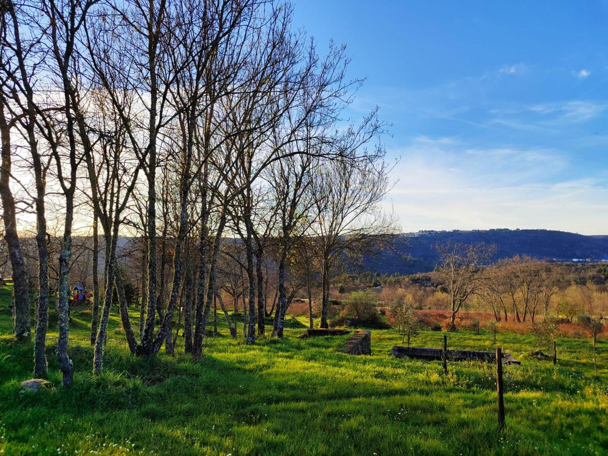 Quinta Dos Carvalhais - Serra Da Estrela Fornos de Algodres Εξωτερικό φωτογραφία