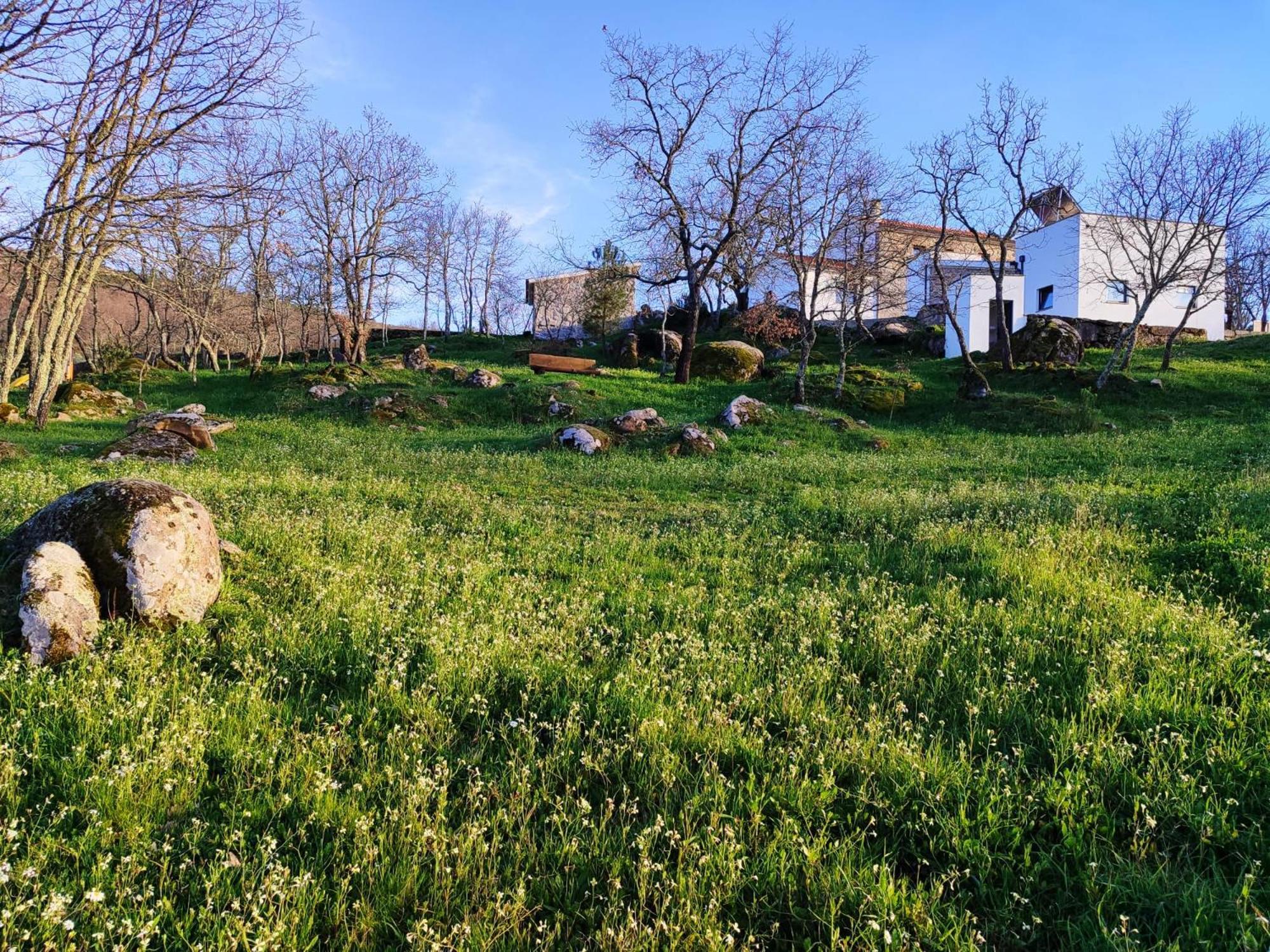 Quinta Dos Carvalhais - Serra Da Estrela Fornos de Algodres Εξωτερικό φωτογραφία