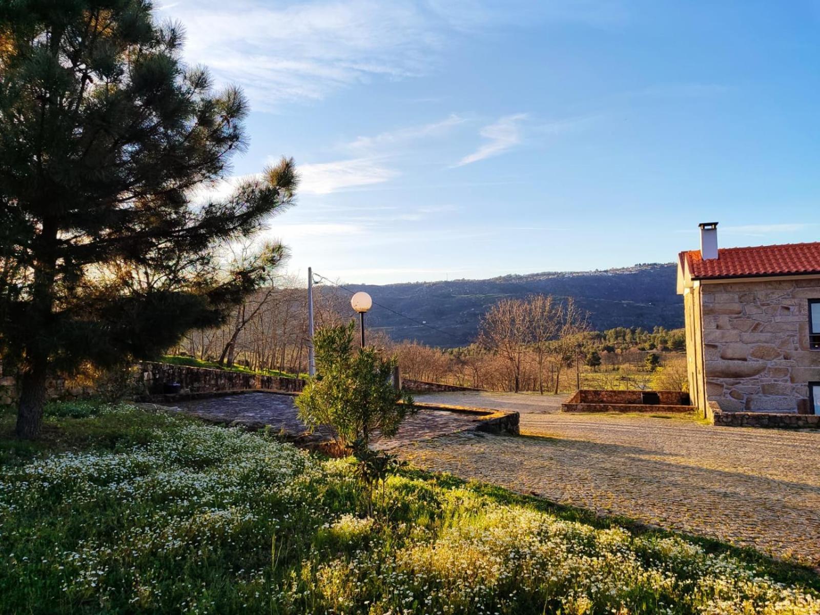 Quinta Dos Carvalhais - Serra Da Estrela Fornos de Algodres Εξωτερικό φωτογραφία