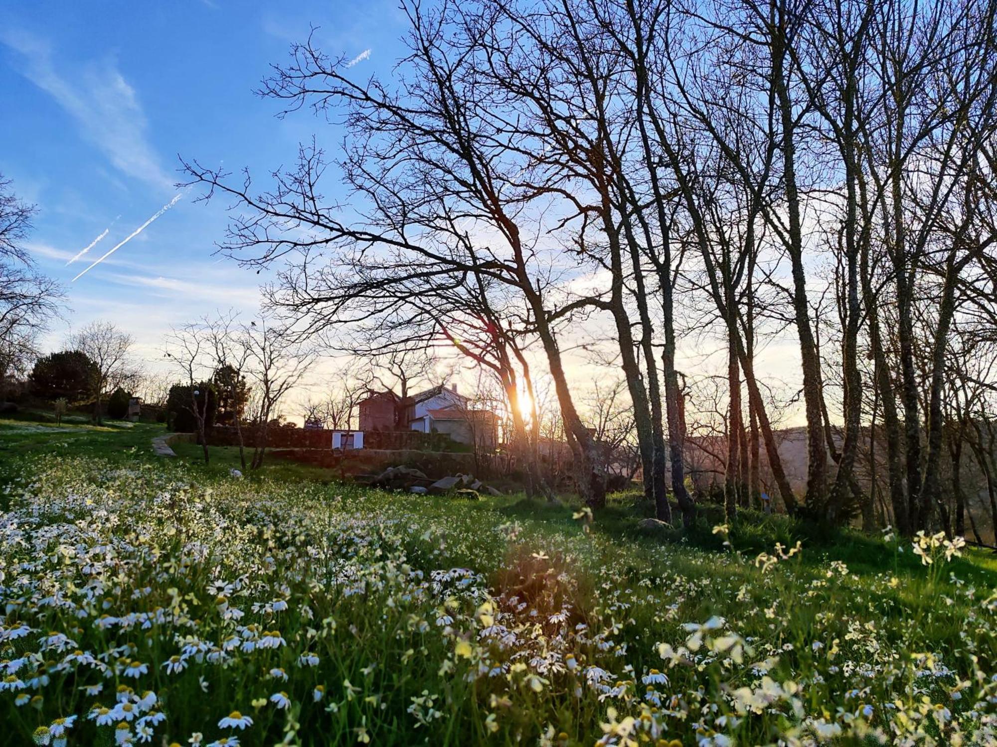 Quinta Dos Carvalhais - Serra Da Estrela Fornos de Algodres Εξωτερικό φωτογραφία